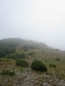 IMG_3560.jpg