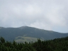 IMG_3569.jpg