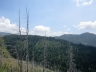 IMG_3711.jpg