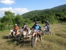 IMG_3733.jpg