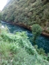 IMG_3737.jpg