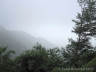 2010-05-30-13-05-23.jpg