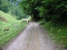 PICT0125.jpg
