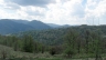 IMG_2936.jpg